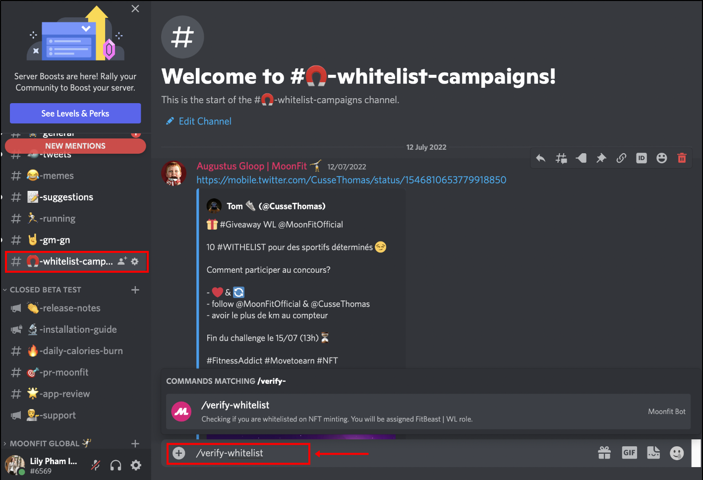 Whitelisted on Discord Server